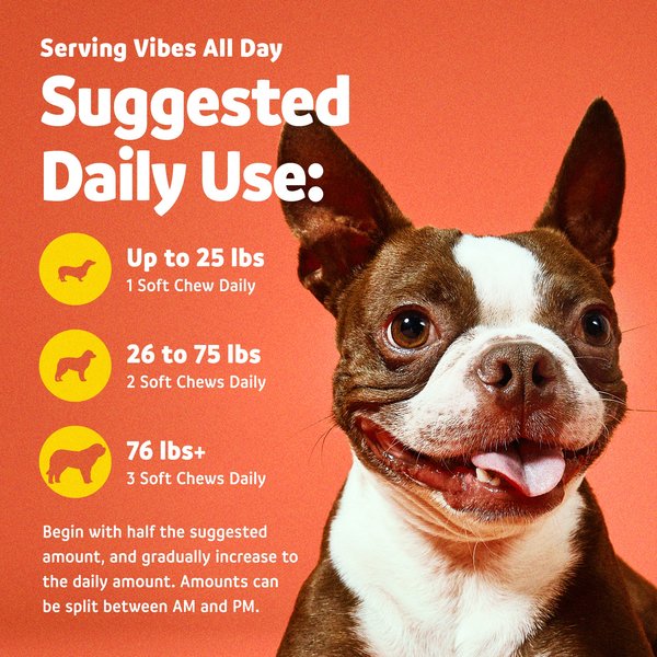 Show full view: Vibeful Allergy & Immune Support Peanut Butter Flavored Soft Chews Allergy & Immune Supplement for Dogs, 14 count slide 5 of 8