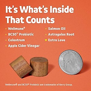 Vibeful Allergy & Immune Support Peanut Butter Flavored Soft Chews Allergy & Immune Supplement for Dogs, 14 count