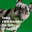 Show in main carousel: Vibeful Calming Melatonin Peanut Butter Flavored Soft Chews Calming Supplement for Dogs, 14 count slide 6 of 8