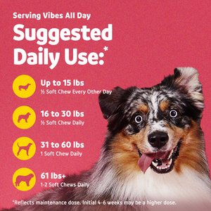 Vibeful Mobility & Joint Health Beef Flavored Soft Chews Glucosamine Joint Supplement for Dogs, 90-Count