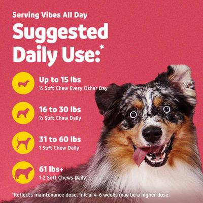 Show full view: Vibeful Mobility & Joint Health Beef Flavored Soft Chews Glucosamine Joint Supplement for Dogs, 90-Count slide 6 of 9
