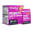 Show in main carousel: Vibeful Probiotic Gastrointestinal Support Powder Digestive Supplement for Cats, 30 count slide 3 of 10