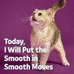 Show in main carousel: Vibeful Probiotic Gastrointestinal Support Powder Digestive Supplement for Cats, 30 count slide 7 of 10