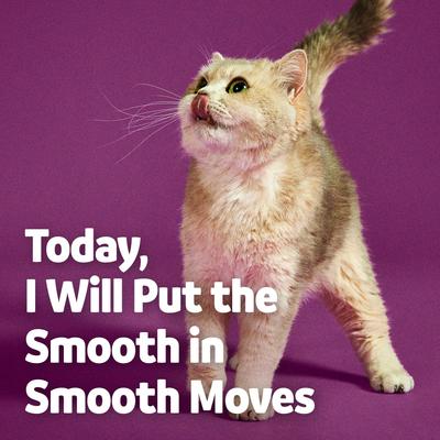 Show full view: Vibeful Probiotic Gastrointestinal Support Powder Digestive Supplement for Cats, 30 count slide 8 of 11