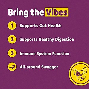 Vibeful Probiotic Gastrointestinal Support Powder Digestive Supplement for Dogs, 30 count