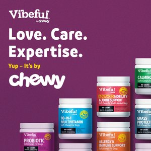 Vibeful Probiotic Gastrointestinal Support Powder Digestive Supplement for Dogs, 30 count