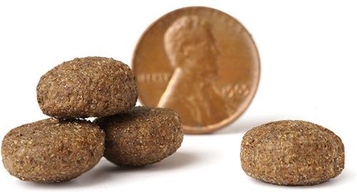 Show full view: VICTOR Gluten-Free Large Breed Chicken & Fish Meal Elite Canine Dry Dog Food, 80-lb bundle slide 5 of 10