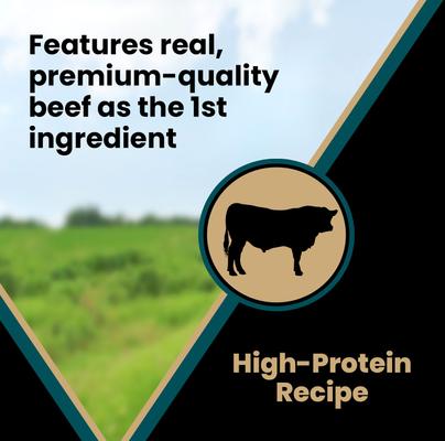 Show full view: VICTOR Hi-Pro Bites Tender Beef Recipe High Protein Training Dog Treats, 14-oz bag slide 5 of 10