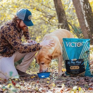 VICTOR Hi-Pro Plus 30/20 Active Sporting High Protein Gluten-Free Dry Dog Food, 40-lb bag