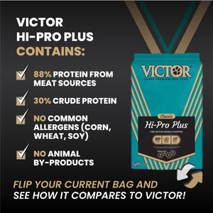 VICTOR Hi-Pro Plus 30/20 Active Sporting High Protein Gluten-Free Dry Dog Food, 40-lb bag