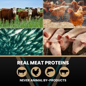 VICTOR Hi-Pro Plus 30/20 Active Sporting High Protein Gluten-Free Dry Dog Food, 40-lb bag