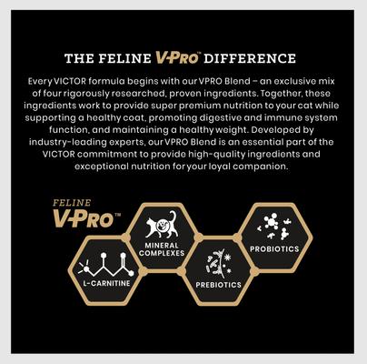 Show full view: VICTOR Hi-Pro Plus Active Cat & Kitten Ocean Fish Recipe High Protein Dry Cat Food, 15-lb bag slide 4 of 8