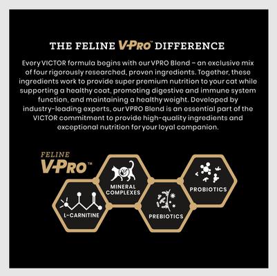 Show full view: VICTOR Hi-Pro Plus Active Cat & Kitten Ocean Fish Recipe High Protein Dry Cat Food, 5-lb bag slide 4 of 8