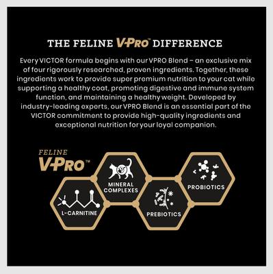 Show full view: VICTOR Mers Feline Chicken & Beef Meal Recipe Dry Cat Food, 15-lb bag slide 5 of 12