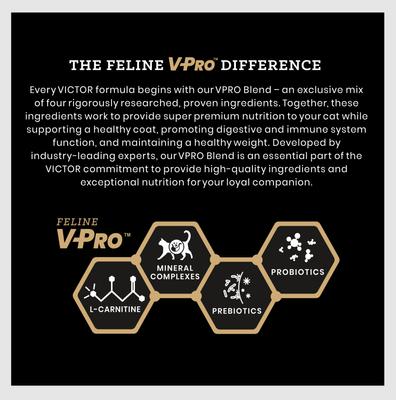 Show full view: VICTOR Mers Feline Chicken & Beef Meal Recipe Dry Cat Food, 5-lb bag slide 5 of 12