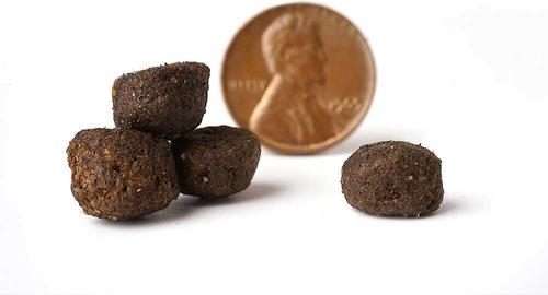 Show full view: VICTOR Purpose Active Dog & Puppy Formula Grain-Free Dry Food + American Journey Beef Recipe Grain-Free Soft & Chewy Training Bits Dog Treats slide 4 of 9