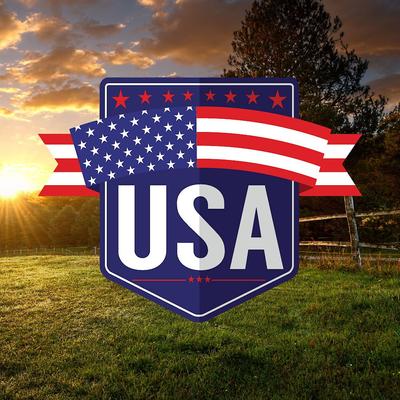 Show full view: VICTOR Grain-Free Turkey & Sweet Potato Stew Cuts Wet Dog Food or Topper, 13.2-oz, case of 12 slide 4 of 9