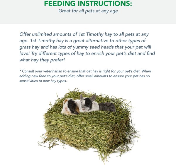 Viking Farmer 1st Cut Timothy Hay for Rabbits & Small Pets