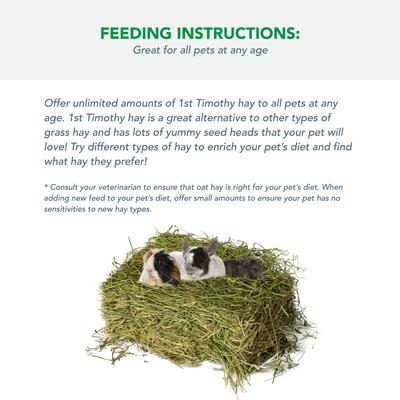 Show full view: Viking Farmer 1st Cut Timothy Hay for Rabbits & Small Pets, 5-lb box slide 4 of 8