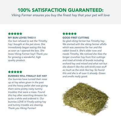 Show full view: Viking Farmer 1st Cut Timothy Hay for Rabbits & Small Pets, 5-lb box slide 5 of 8