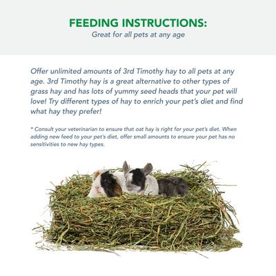 Show full view: Viking Farmer 3rd Cut Timothy Hay for Rabbits & Small Pets, 5-lb box slide 4 of 8