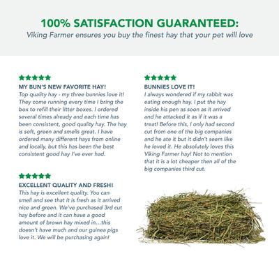 Show full view: Viking Farmer 3rd Cut Timothy Hay for Rabbits & Small Pets, 5-lb box slide 5 of 8