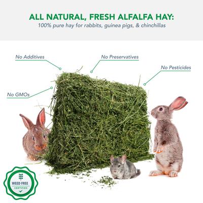 Show full view: Viking Farmer Alfalfa Hay for Rabbits & Small Pets, 10-lbs slide 3 of 8