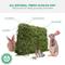Show in main carousel: Viking Farmer Alfalfa Hay for Rabbits & Small Pets, 5-lbs slide 3 of 8