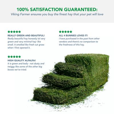Show full view: Viking Farmer Alfalfa Hay for Rabbits & Small Pets, 5-lbs slide 5 of 8