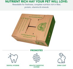 Viking Farmer Oat Hay for Rabbits & Small Pets, 5-lb box slide 2 of 7