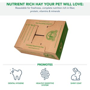 Viking Farmer Oat Hay for Rabbits & Small Pets, 5-lb