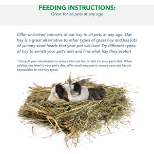 Viking Farmer Oat Hay for Rabbits & Small Pets, 5-lb