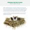 Show in main carousel: Viking Farmer Oat Hay for Rabbits & Small Pets, 5-lb box slide 4 of 8