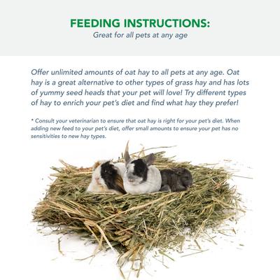 Show full view: Viking Farmer Oat Hay for Rabbits & Small Pets, 5-lb box slide 4 of 8
