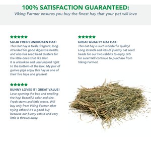 Viking Farmer Oat Hay for Rabbits & Small Pets, 5-lb