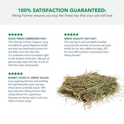 Show full view: Viking Farmer Oat Hay for Rabbits & Small Pets, 5-lb box slide 5 of 8