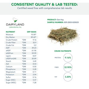 Viking Farmer Oat Hay for Rabbits & Small Pets, 5-lb