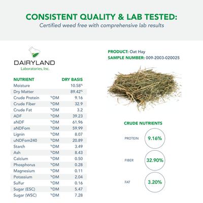 Show full view: Viking Farmer Oat Hay for Rabbits & Small Pets, 5-lb box slide 6 of 8