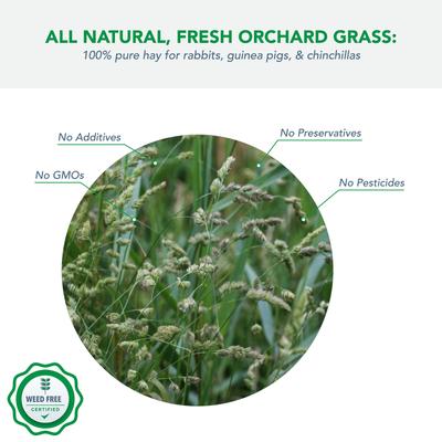 Show full view: Viking Farmer Orchard Grass for Rabbits & Small Pets, 5-lb slide 3 of 7