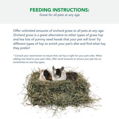 Show full view: Viking Farmer Orchard Grass for Rabbits & Small Pets, 5-lb slide 4 of 7