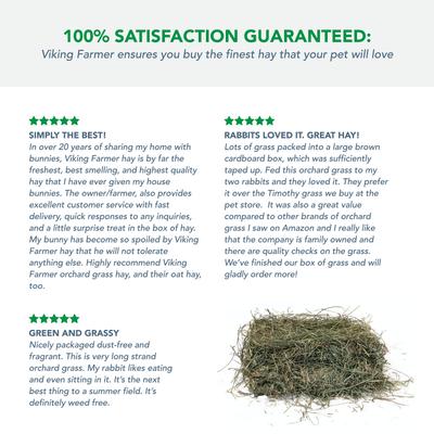 Show full view: Viking Farmer Orchard Grass for Rabbits & Small Pets, 5-lb slide 5 of 7