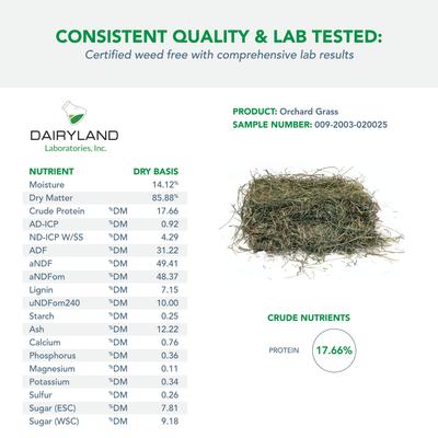 Show full view: Viking Farmer Orchard Grass for Rabbits & Small Pets, 5-lb slide 6 of 7