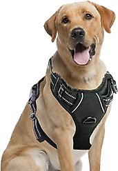 Vila Adjustable Reflective No Pull Dog Harness, Black, Large, 17 to 34-in chest