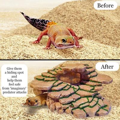 Show full view: Vila Bearded Dragon & Leopard Gecko Humid Hide Resin Cave & Basking Rocks, Reptile Habitat Decor slide 4 of 7