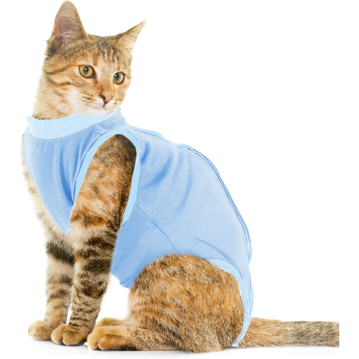 Vila Breathable Neuter & Spay Post-Surgery Cone Alternative Cat Recovery Suit, Blue, 15 to 18-in chest, 14-in back length
