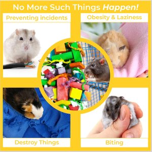 Vila Colorful Hanging Teeth Grinding Rat Guinea-Pig & Small Animal Wooden Chew Blocks, 16-in
