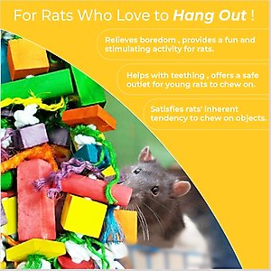 Vila Colorful Hanging Teeth Grinding Rat Guinea-Pig & Small Animal Wooden Chew Blocks, 16-in
