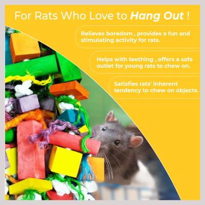 Show full view: Vila Colorful Hanging Teeth Grinding Rat Guinea-Pig & Small Animal Wooden Chew Blocks, 16-in slide 5 of 7