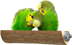 Vila Natural Wooden Platform Parrot Perch Stand, Hanging Cage Accessories for Bird Play Stand, 7 x 3 inches slide 2 of 7