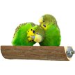 Show in main carousel: Vila Natural Wooden Platform Parrot Perch Stand, Hanging Cage Accessories for Bird Play Stand, 7 x 3 inches slide 2 of 8